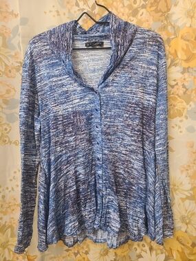 Blue Marled Button-Front Long Sleeve Top by Carine